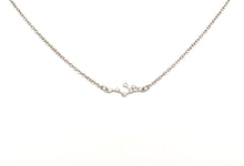 Load image into Gallery viewer, A Silver Leo Zodiac Constellation Necklace on a white background.
